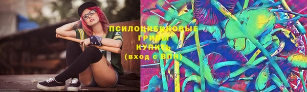мяу мяу мука Лабытнанги
